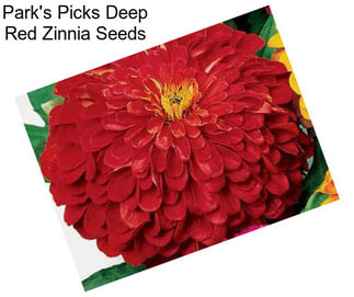 Park\'s Picks Deep Red Zinnia Seeds