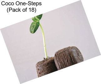 Coco One-Steps (Pack of 18)