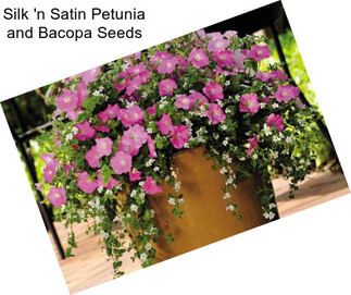 Silk \'n Satin Petunia and Bacopa Seeds