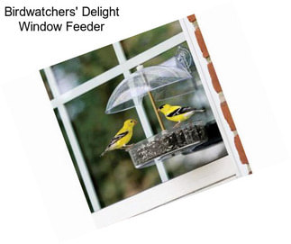 Birdwatchers\' Delight Window Feeder