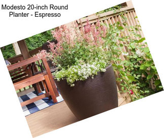 Modesto 20-inch Round Planter - Espresso