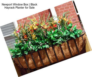 Newport Window Box | Black Hayrack Planter for Sale