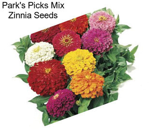 Park\'s Picks Mix Zinnia Seeds