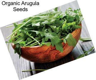 Organic Arugula Seeds