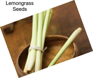 Lemongrass Seeds