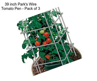 39 inch Park\'s Wire Tomato Pen - Pack of 3