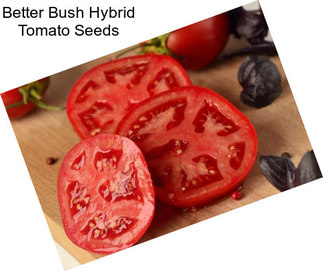 Better Bush Hybrid Tomato Seeds