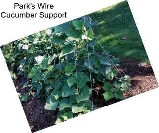 Park\'s Wire Cucumber Support