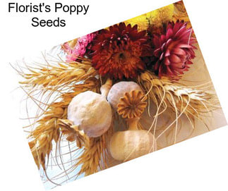 Florist\'s Poppy Seeds