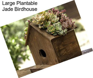 Large Plantable Jade Birdhouse