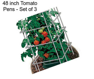 48 inch Tomato Pens - Set of 3