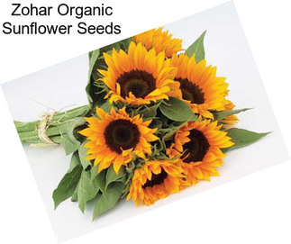 Zohar Organic Sunflower Seeds