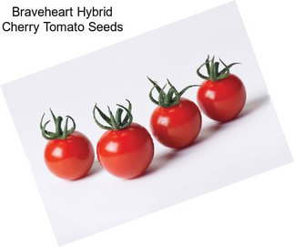 Braveheart Hybrid Cherry Tomato Seeds