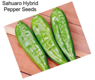 Sahuaro Hybrid Pepper Seeds