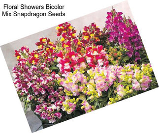 Floral Showers Bicolor Mix Snapdragon Seeds