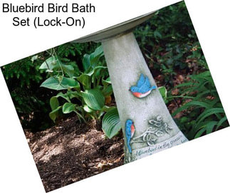 Bluebird Bird Bath Set (Lock-On)