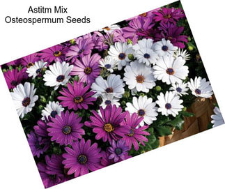 Astitm Mix Osteospermum Seeds