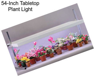 54-Inch Tabletop Plant Light
