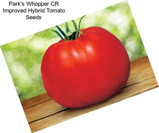 Park\'s Whopper CR Improved Hybrid Tomato Seeds