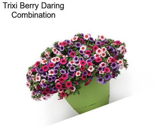 Trixi Berry Daring Combination