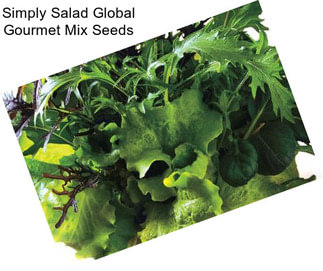 Simply Salad Global Gourmet Mix Seeds