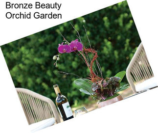 Bronze Beauty Orchid Garden