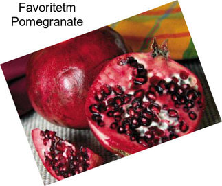 Favoritetm Pomegranate