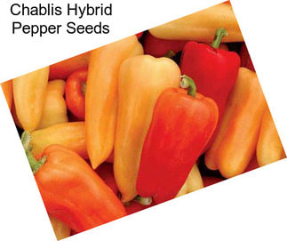 Chablis Hybrid Pepper Seeds