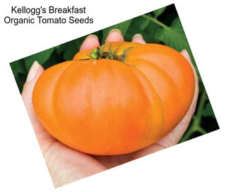 Kellogg\'s Breakfast Organic Tomato Seeds