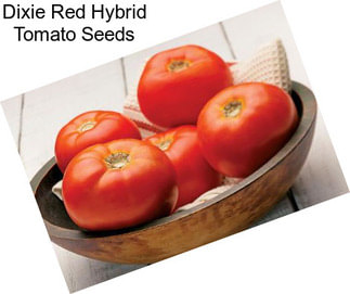 Dixie Red Hybrid Tomato Seeds
