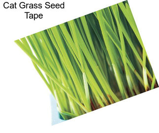 Cat Grass Seed Tape