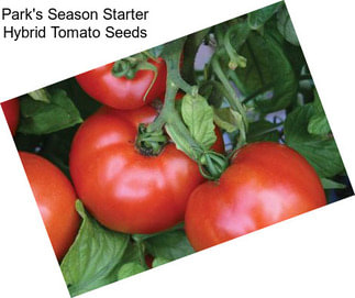 Park\'s Season Starter Hybrid Tomato Seeds