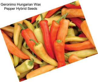 Geronimo Hungarian Wax Pepper Hybrid Seeds