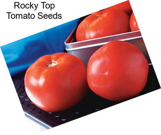 Rocky Top Tomato Seeds