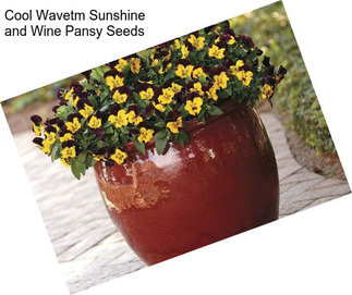 Cool Wavetm Sunshine and Wine Pansy Seeds