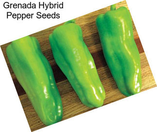 Grenada Hybrid Pepper Seeds