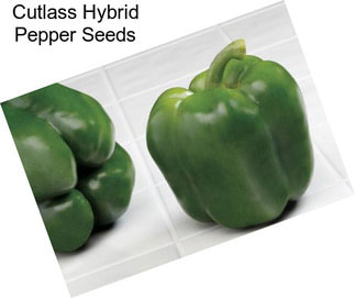 Cutlass Hybrid Pepper Seeds