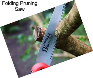 Folding Pruning Saw