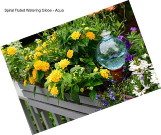 Spiral Fluted Watering Globe - Aqua