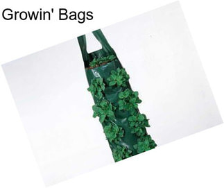Growin\' Bags