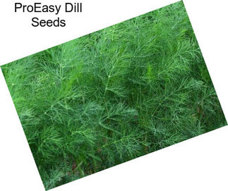 ProEasy Dill Seeds