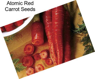 Atomic Red Carrot Seeds