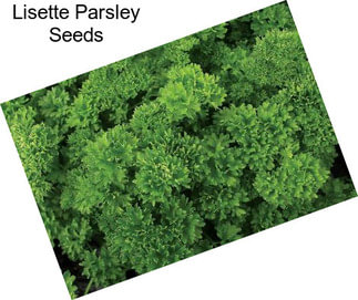 Lisette Parsley Seeds