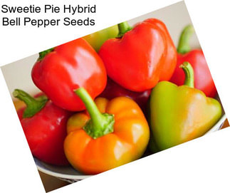 Sweetie Pie Hybrid Bell Pepper Seeds