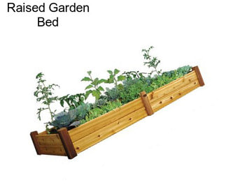 Raised Garden Bed