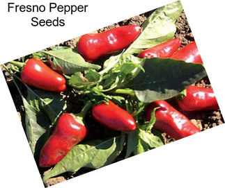 Fresno Pepper Seeds