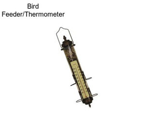 Bird Feeder/Thermometer