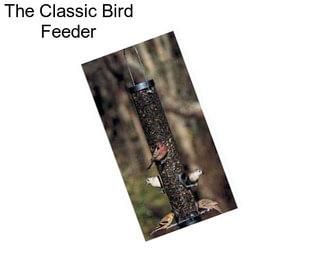 The Classic Bird Feeder