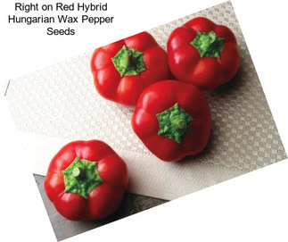 Right on Red Hybrid Hungarian Wax Pepper Seeds
