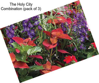 The Holy City Combination (pack of 3)
